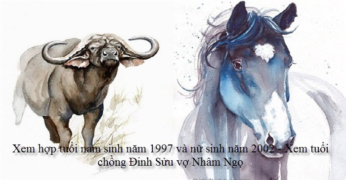 xem-hop-tuoi-nam-sinh-nam-1997-va-nu-sinh-nam-2002-xem-tuoi-chong-dinh-suu-vo-nham-ngo.jpg