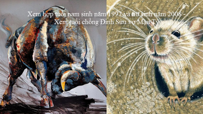 xem-hop-tuoi-nam-sinh-nam-1997-va-nu-sinh-nam-2008-xem-tuoi-chong-dinh-suu-vo-mau-ty.png