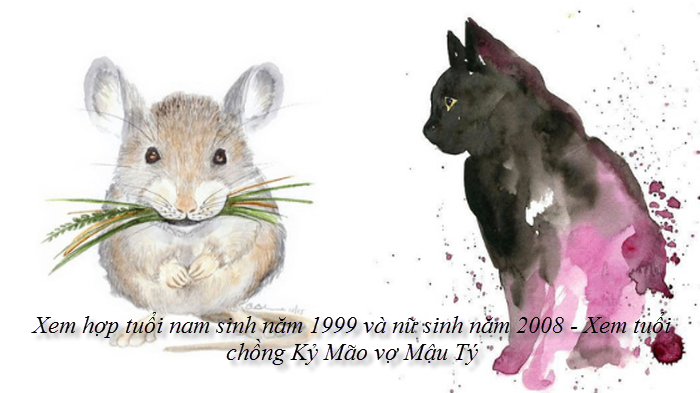 xem-hop-tuoi-nam-sinh-nam-1999-va-nu-sinh-nam-2008-xem-tuoi-chong-ky-mao-vo-mau-ty.png